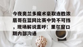 万博全站-今夜奥兰多魔术豪取连胜浓眉哥在篮网比赛中势不可挡，现场解说直呼：里尔窗口期内部沟通的简单介绍